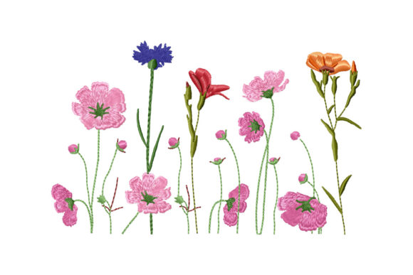 Beautiful Wildflowers Border