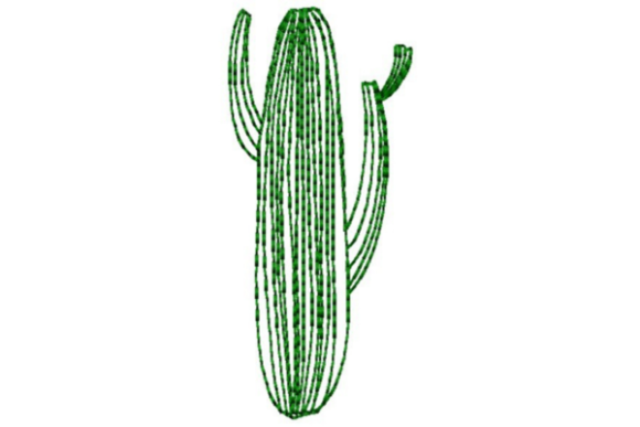 Lined Cactus Outline: A Boutique Sweatshirt Designer’s Honest Review