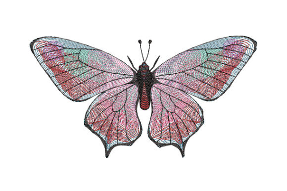 Pink Butterfly with Beautiful Antennae
